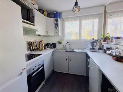 Acheter Appartement 67 m2 Cenon