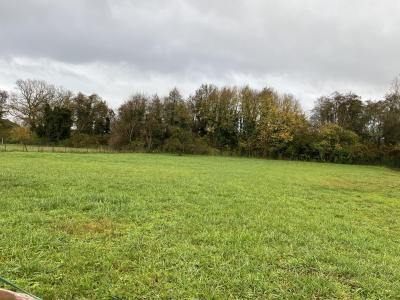 Annonce Vente Terrain Barbuise 10