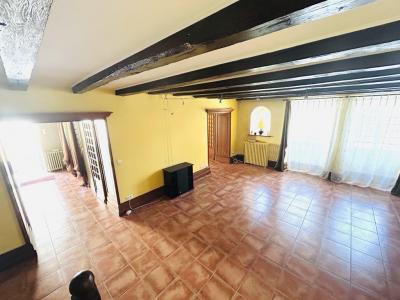 Acheter Maison 392 m2 Bonneuil-matours