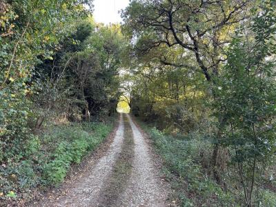 Acheter Domaine agricole 255 m2 Auch