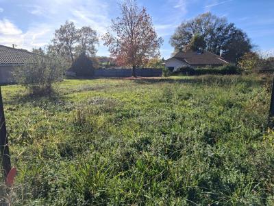 Annonce Vente Terrain Bascons 40