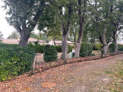 Annonce Vente Terrain Sainte-foy 85