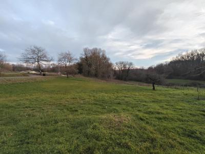 For sale Saint-genes-de-lombaud 814 m2 Gironde (33670) photo 1