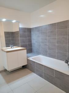 Louer Appartement Chasse-sur-rhone 809 euros