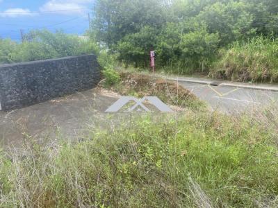 Annonce Vente Terrain Saint-pierre 974