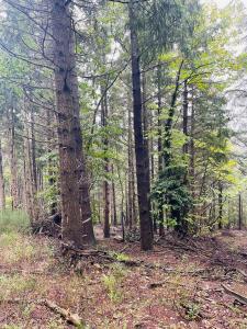 Acheter Terrain  Herault