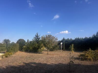 Annonce Vente Terrain  30