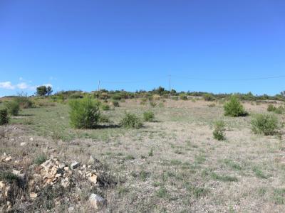 For sale 3 rooms 146 m2 Aude (11120) photo 2