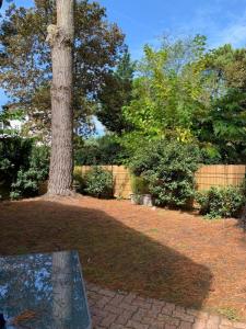 Louer Appartement Teste-de-buch Gironde