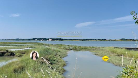 Annonce Vente 7 pi�ces Maison Tour-du-parc 56