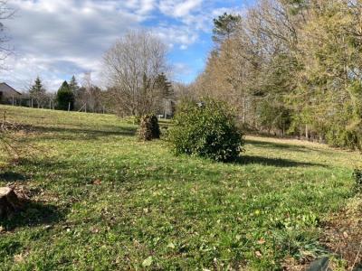 Acheter Terrain 1402 m2 Chateau-l'eveque