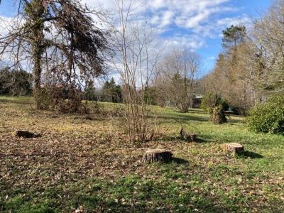 Acheter Terrain Chateau-l'eveque Dordogne