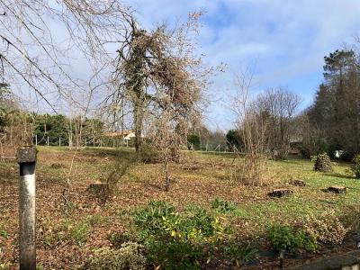 Acheter Terrain Chateau-l'eveque 39500 euros