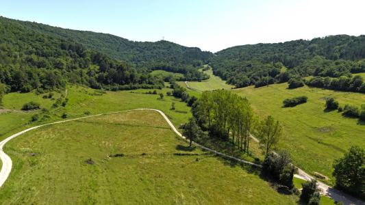 Annonce Vente 3 pi�ces Maison Chavannes-sur-suran 01