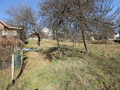 Annonce Vente Terrain Passy 74