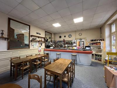 For sale Neronde 10 rooms 270 m2 Loire (42510) photo 3