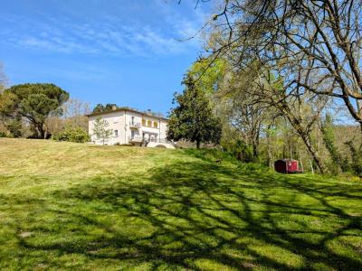 For sale Arnaud-guilhem 10 rooms 371 m2 Haute garonne (31360) photo 1