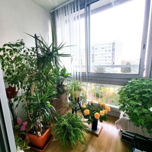 Acheter Appartement Saint-priest 237000 euros