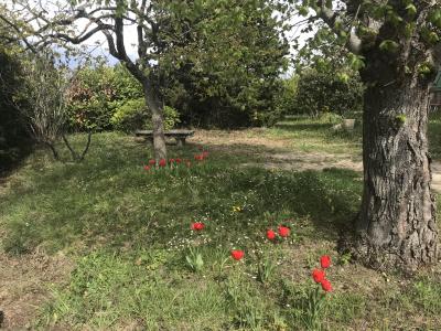 Annonce Vente Maison Villefranche-de-lauragais 31