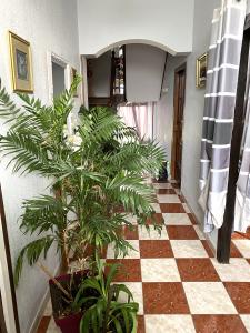 Acheter Maison 243 m2 Nexon