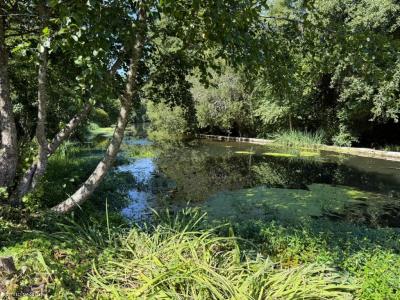 Acheter Maison Civray Vienne