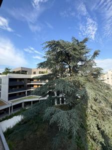 Acheter Appartement 85 m2 Tassin-la-demi-lune