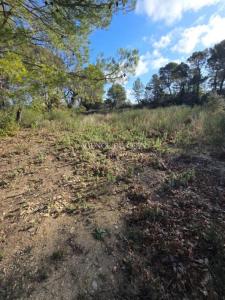 Annonce Vente Terrain Figanieres 83