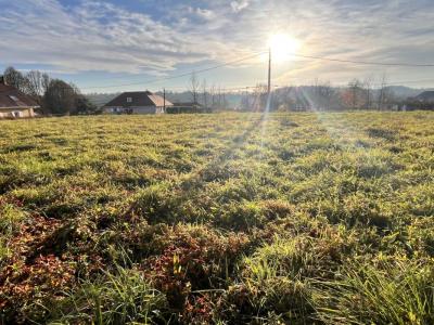 Annonce Vente Terrain Urdes 64