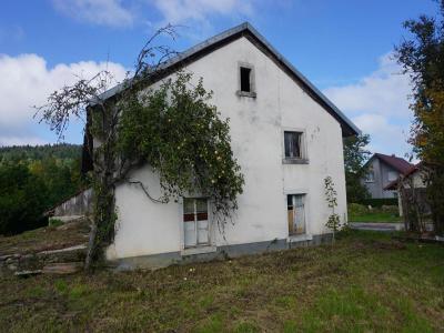 Annonce Vente 8 pi�ces Maison Thiebouhans 25