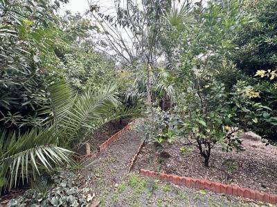 Annonce Vente 3 pi�ces Maison  34