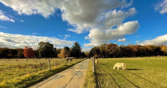 For sale Bourdonne 7 rooms 200 m2 Yvelines (78113) photo 0