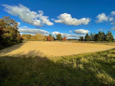 Annonce Vente Prestige Bourdonne 78