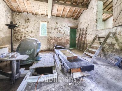 Annonce Vente 5 pi�ces Maison Saint-viaud 44