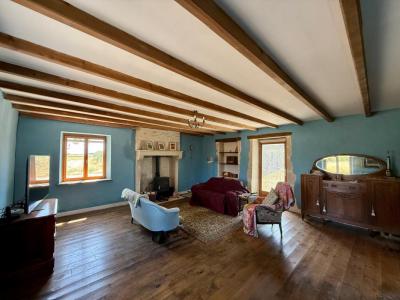 Acheter Prestige 219 m2 Chaunay