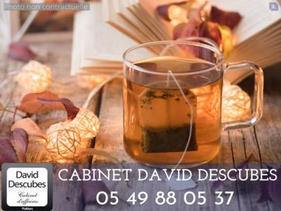 For sale Poitiers 130 m2 Vienne (86000) photo 0