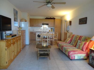 Acheter Appartement 48 m2 Saint-cyprien