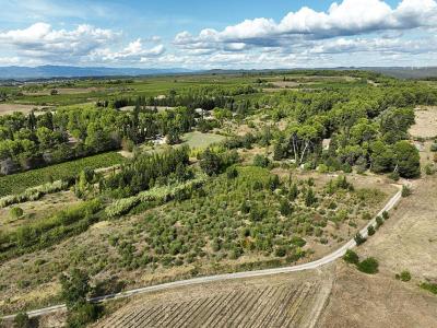 Annonce Vente 15 pi�ces Maison Saint-pons-de-mauchiens 34