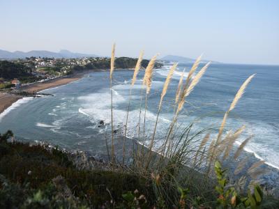 For sale Saint-jean-de-luz 2 rooms 44 m2 Pyrenees atlantiques (64500) photo 0