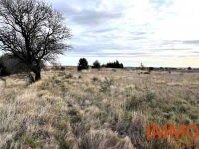 Acheter Terrain Lespignan Herault