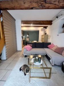 Louer Maison 32 m2 Mirabeau