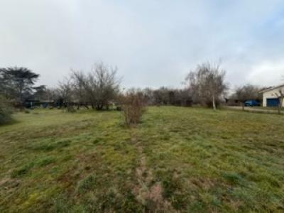 For sale Saint-germain-du-puch 880 m2 Gironde (33750) photo 0
