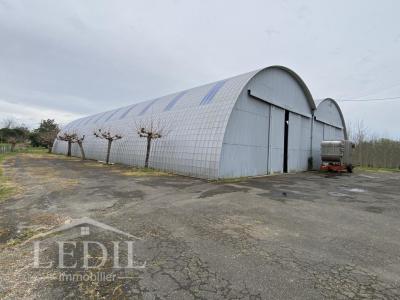 Acheter Commerce Cazaubon Gers