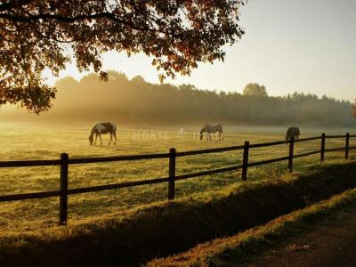For sale Valence 32767 m2 Drome (26000) photo 0