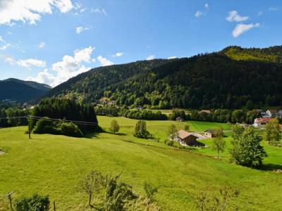 Annonce Vente 10 pi�ces Maison La-bresse 88