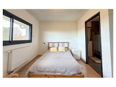 Acheter Maison Massongy Haute savoie