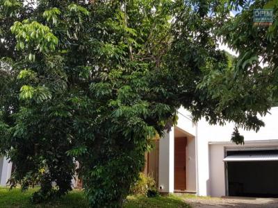 Annonce Location Maison Riviere-saint-louis 974