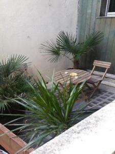 For rent Bordeaux 1 room 25 m2 Gironde (33000) photo 0