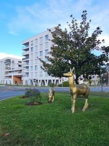 For rent Cenon 3 rooms 62 m2 Gironde (33150) photo 4