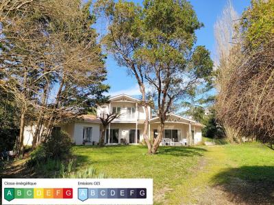 Annonce Vente 8 pi�ces Maison Sainte-eulalie 33