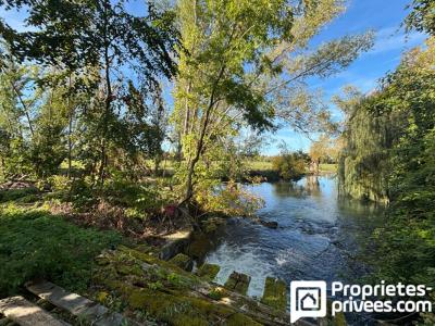 Acheter Maison 400 m2 Mehun-sur-yevre